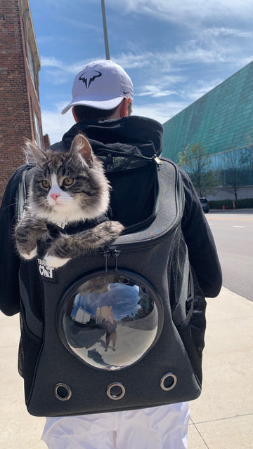 Travel Cat  Your Cat Backpack - The #1 Cat Travel Brand in the World