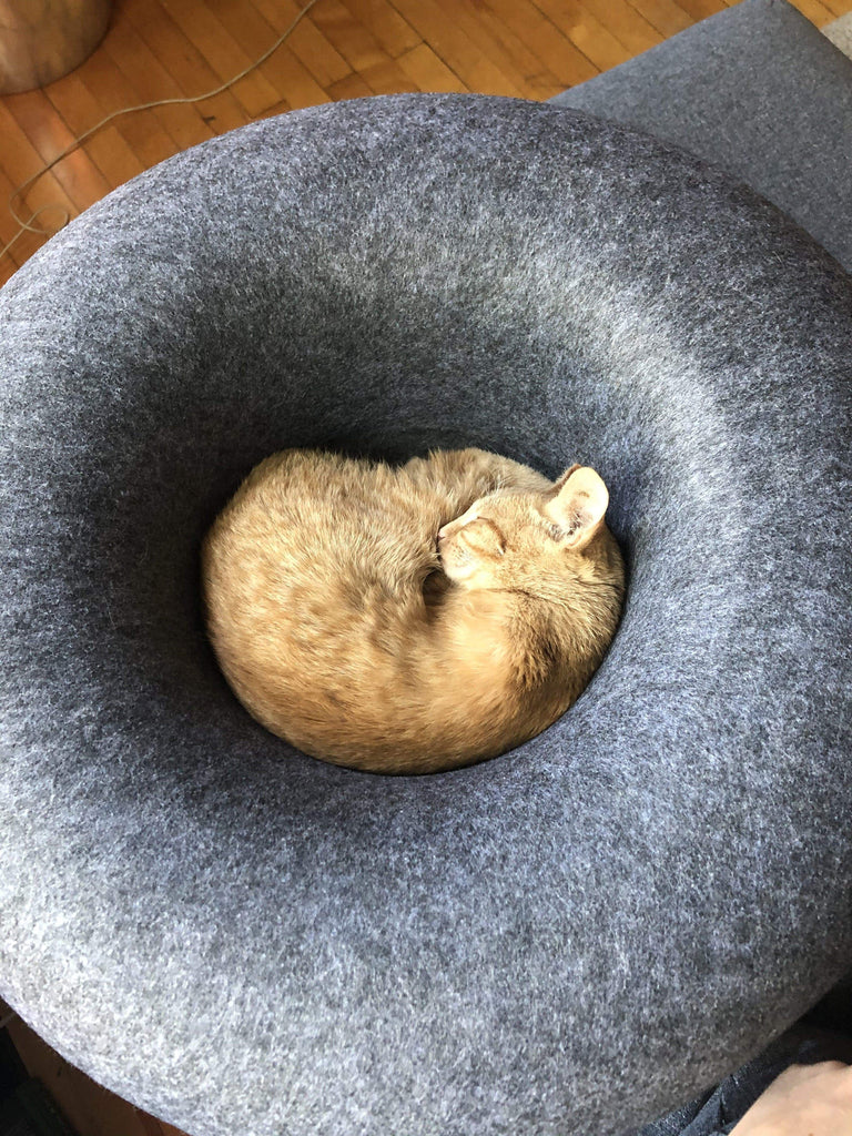 Cat Hideaway Cave Donut Bed Cat Culture Market